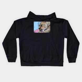 Lion / Swiss Artwork Photography Kids Hoodie